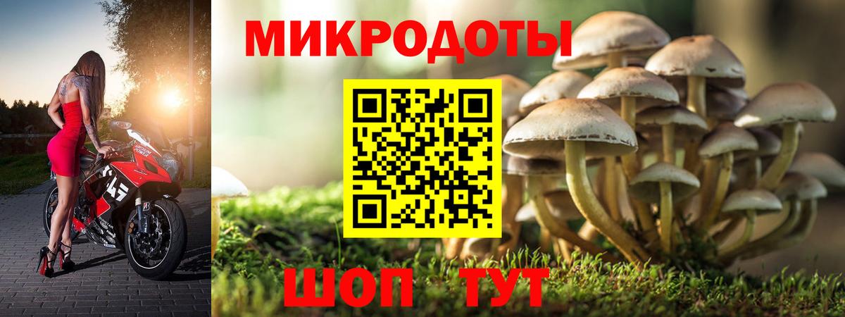 Галлюциногенные грибы мицелий Санкт-Петербург