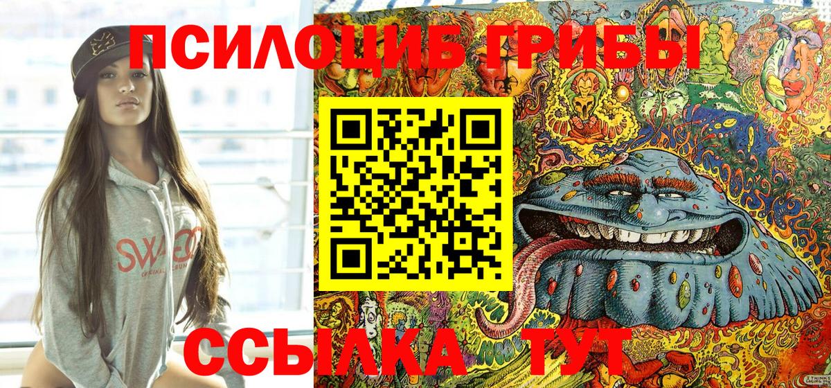 Галлюциногенные грибы MAGIC MUSHROOMS  Вход с VPN  Псилоцибиновые грибы Psilocybine cubensis  Санкт-Петербург 